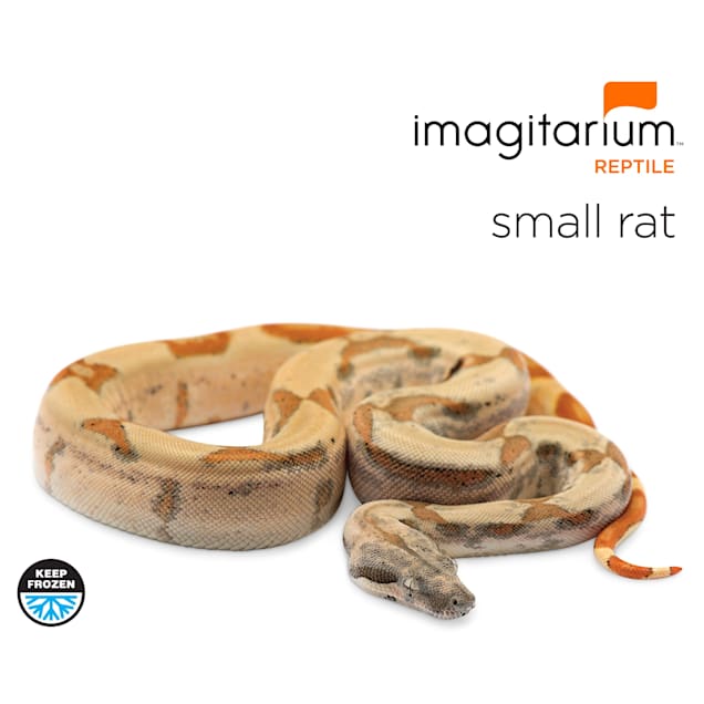 Frozen Small Rat 20 Count Petco