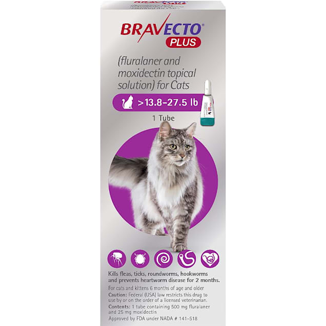 Bravecto Plus Topical Solution for Cats Greater Than 13.827.5 lbs