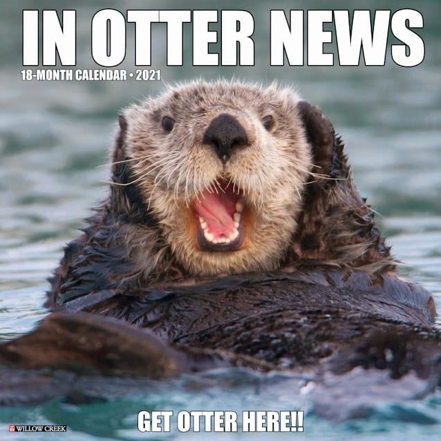 Willow Creek Press In Otter News 2021 Calendar, Large | Petco