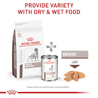 royal canin hepatic petco