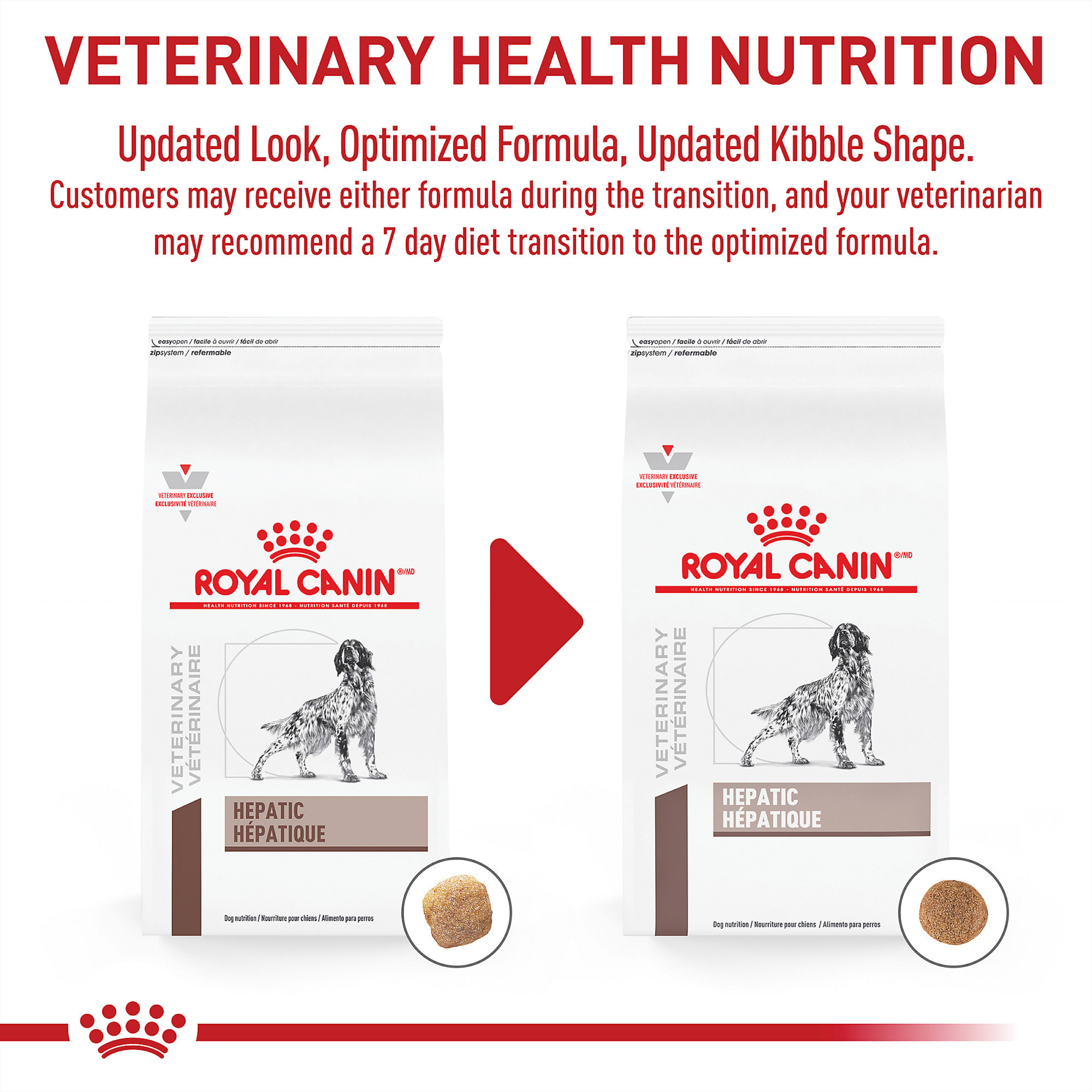 hepatic dry dog food