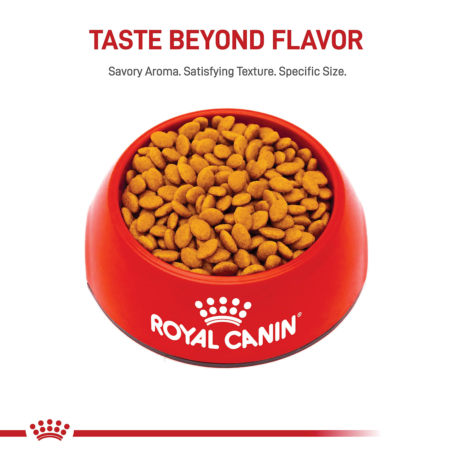 persian cat dry food