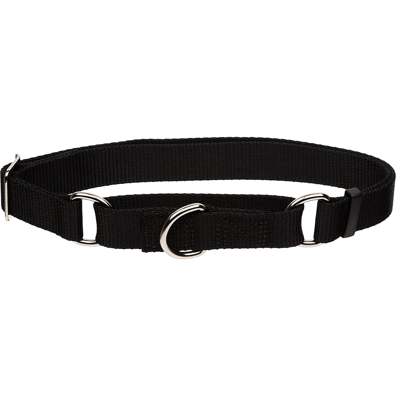 Coastal Pet No Slip Personalized Dog Collar in Black, 1" Width Petco