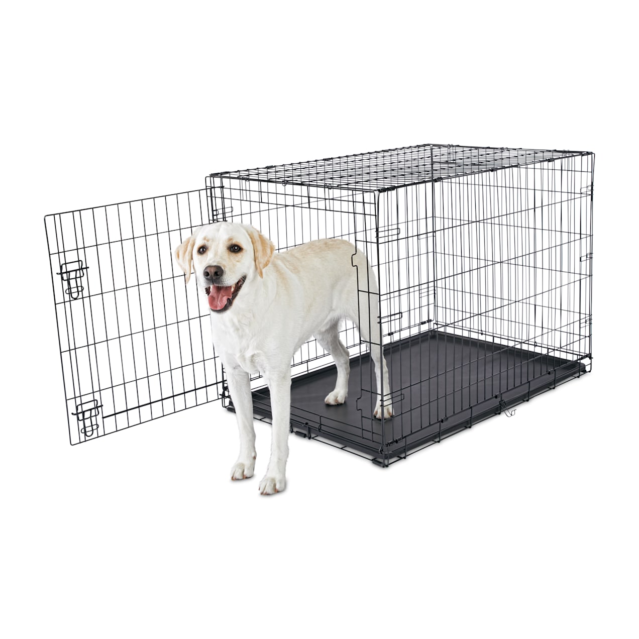 petco animaze crate