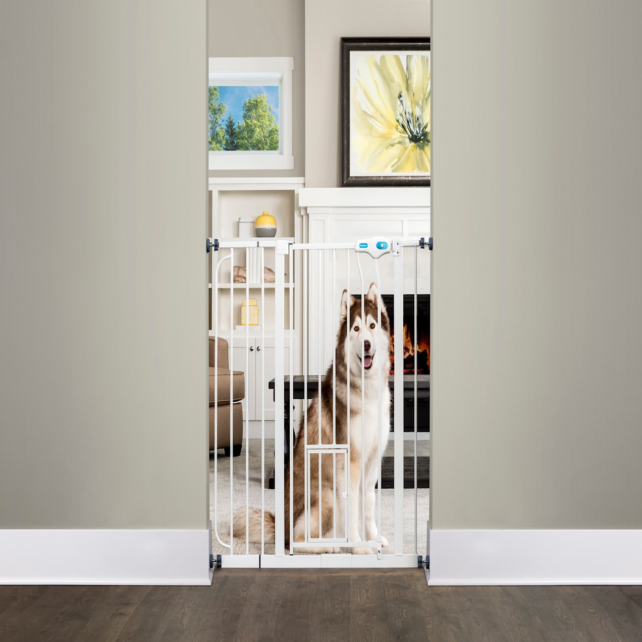 Carlson Pet Products Extra Tall WalkThru Pet Gate with Door, 39"38.5