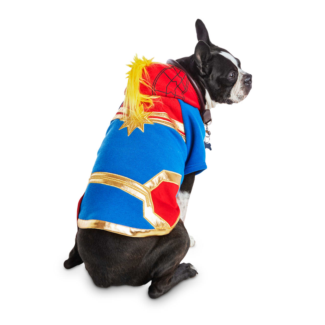 Bootique Captain Marvel Dog Costume, XLarge Petco