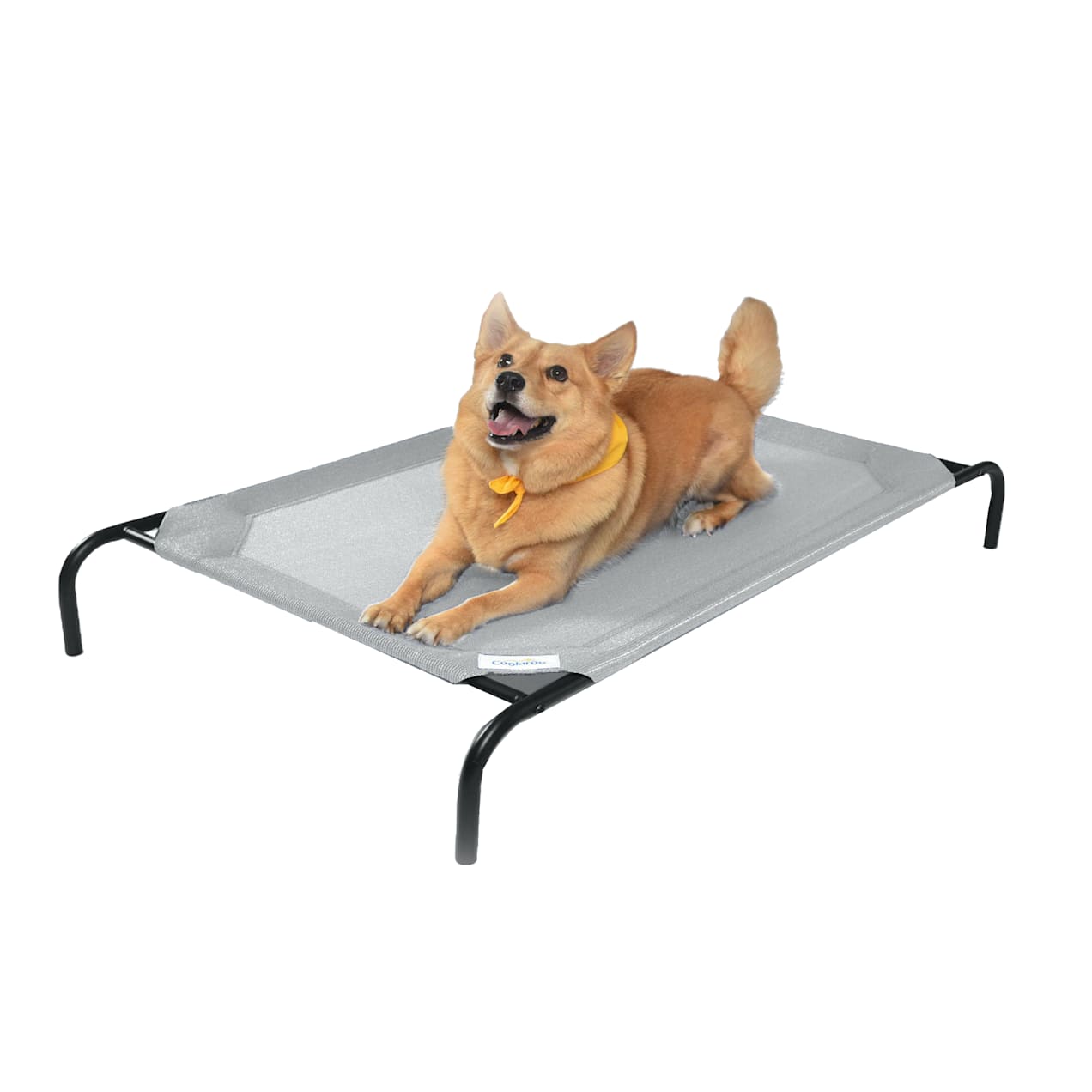 Coolaroo Grey Elevated Dog Bed, 51" L X 31.5" W X 8" H Petco