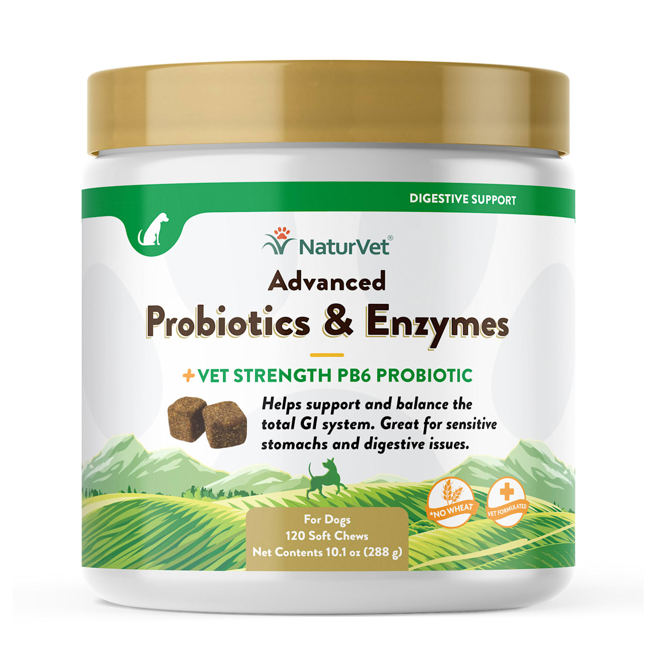 NaturVet Advanced Probiotics & Enzymes Plus Vet Strength PB6 Probiotic