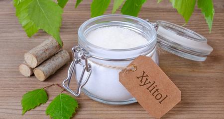 Xylitol Poisoning: 6 Toxic Products Hiding in Your Dog's Home