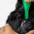 Flea Prevention Failing? Why & How to Finally Stop Pet Fleas