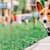 Dog Harness or Collar: How to Choose the Right Fit