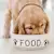 What to Feed a Puppy: Complete Feeding Guide