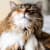 Cat Allergies: Expert Guide to Symptoms, Causes & Effective Treatment