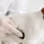 Protect Your Dog from Hookworms: Prevention, Symptoms & Treatment