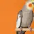 Top Summer Safety Tips for Pet Birds