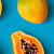 Can Dogs Eat Papaya? What Pet Parents Should Know