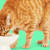 Frozen Dog Food: Fresh, Raw & Minimally Processed Guide