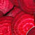 Can Dogs Eat Beets? What Pet Parents Should Know