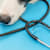 Short Spine Syndrome in Dogs: Symptoms & Care