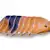 Pet Roly-Poly (Isopod) Care: Habitat, Diet & Beginner Tips for Success