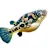 How to Care for Freshwater & Brackish Pufferfish: A Complete Guide