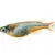 Complete Ricefish Care: Setup, Diet, & Habitat for Thriving Fish