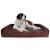 Dog Beds & Bedding: How to Choose the Right One
