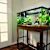 Fish Aquarium Lamps: The Complete Lighting Guide