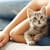 How to Bond with a New Kitten: A Complete Guide