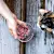 6 Cat Feeding Mistakes to Avoid