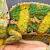 Signs of a Sick Chameleon: What Pet Parents Should Know