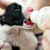 How to Tube Feed Puppies: A Step-by-Step Guide