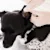 Dog Ear Cleaning: 6 Mistakes to Avoid for Healthy, Happy Ears