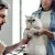 Cat Aging: Normal Changes in Senior & Geriatric Cats