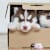 Make Easy & Safe DIY Dog Toys from Common Household Items
