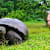 Turtle & Tortoise Bacterial Infections: Spot, Treat, Prevent