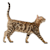 9 Father's Day Gifts for Cat Dads 