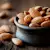 Can Dogs Eat Almonds? What Pet Parents Must Know