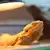 Heating & Lighting for Bearded Dragons: Full Guide