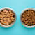 Wet vs. Dry Dog Food