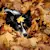 Ultimate Fall Safety Guide for Pets