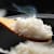 Can Dogs Eat Rice? What Pet Parents Should Know