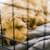 How to Pick the Perfect Dog Crate Size for Your Furry Friend