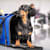 How to Travel with Your Dog: Safe, Stress-Free & Happy Trips