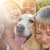 Petco Love Lost: How to Find a Lost Pet Fast