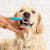 How to Brush a Dog's Teeth — and Why It Matters