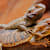 Male vs Female Bearded Dragon: How to Tell the Sex