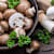 Can Dogs Eat Mushrooms? Safe Types & Toxic Risks