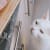 Can Cats Eat Bacon? What Pet Parents Should Know
