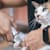 How to Trim Cat Nails Safely: A Step-by-Step Guide